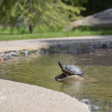 Apartahotel Cascadas Family 4*