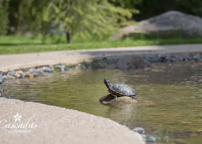 Apartmanhotel Cascadas Family 4*